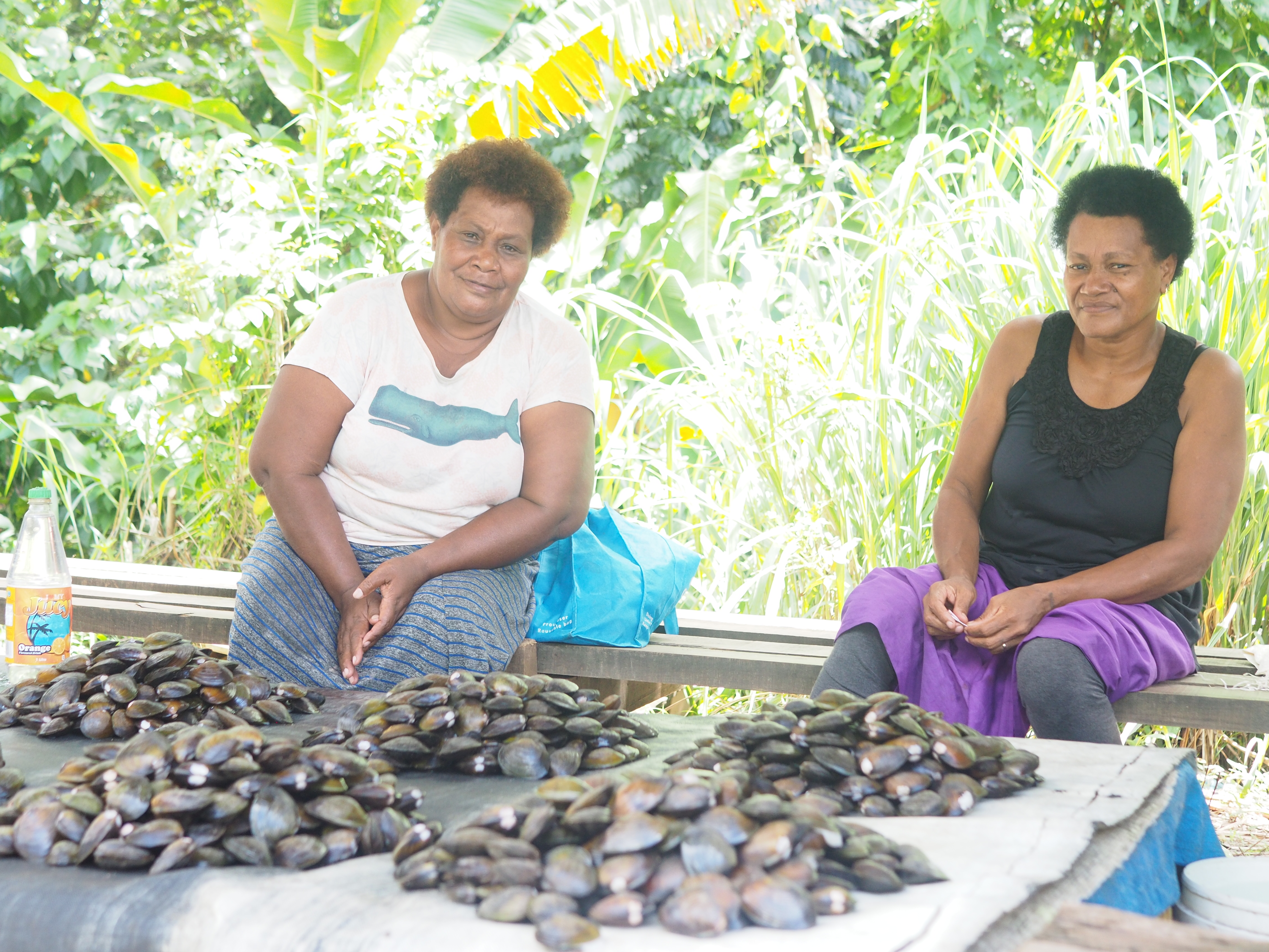 Fresh water mussel sellers in Kasavu, Fiji